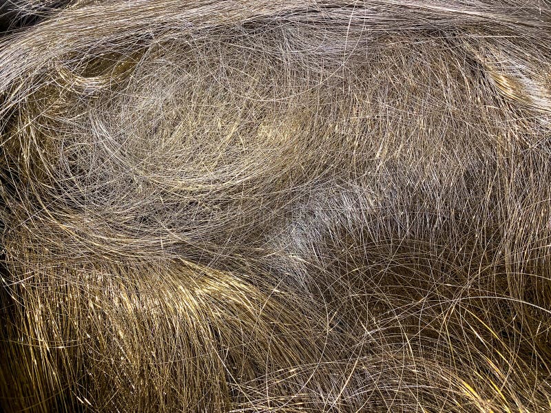 Yellow Brass Hair Wire for Recycling, Landscape View Stock Image - Image of waste, zinc: 202933425 Yellow Brass Hair Wire for Recycling, Landscape View Stock Image - Image of waste, zinc: 202933425