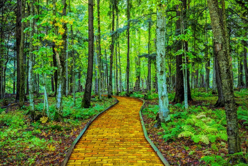 Yellow brick road through forest. Wizard of Oz fairytale yellow brick road leading through a lush wooded green forest stock image