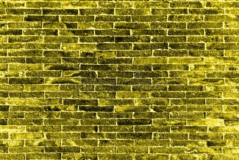 The yellow bricks wall stock photo. Image of bloom, botany 88119090