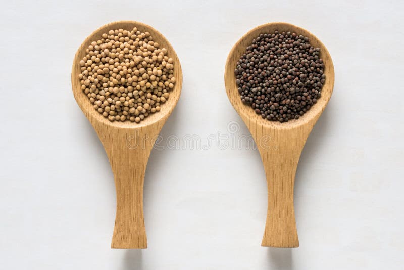 Yellow and Brown Mustard Seeds Stock Photo Image of ingredient, seed