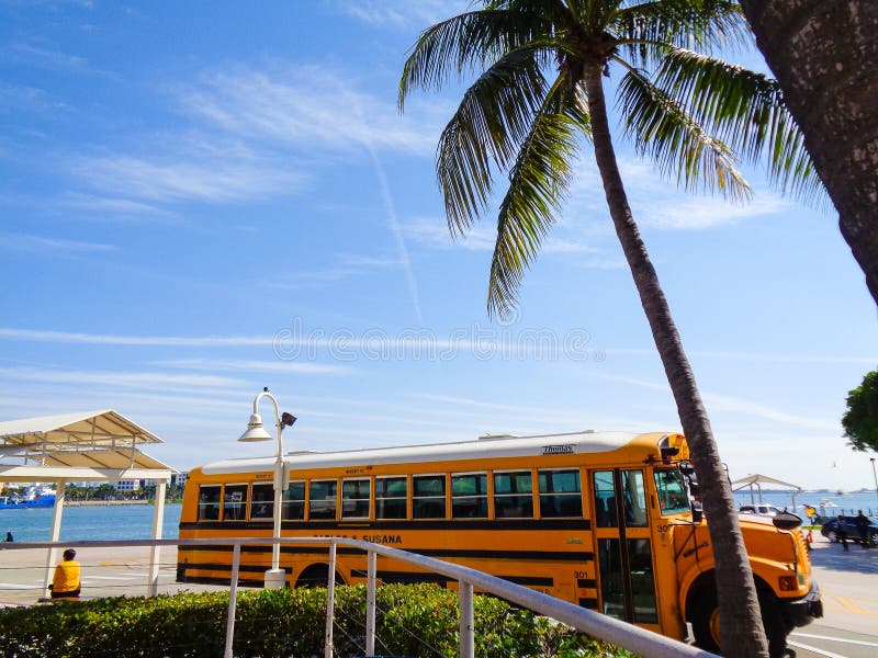 Yellow bus in florida