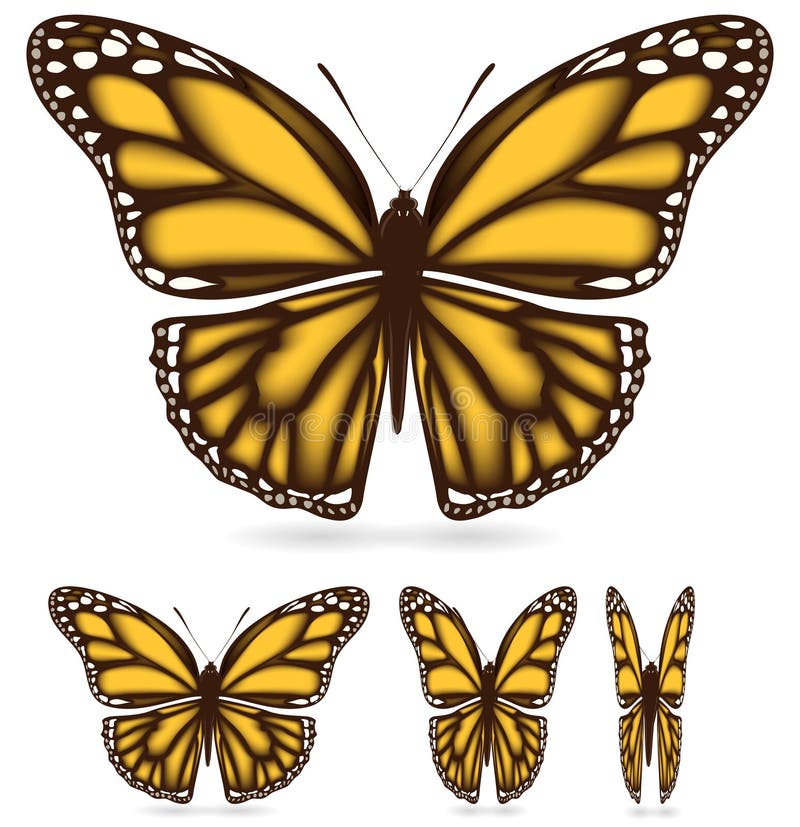 Yellow butterfly royalty free illustration