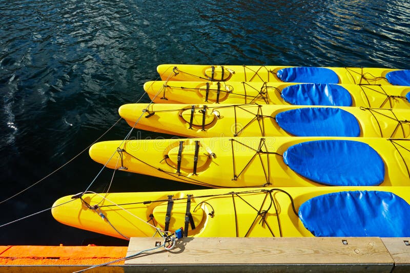 Yellow canoes, kayaks , 5 pieces, are on the water