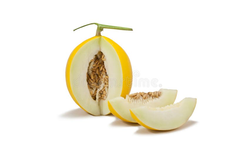 Yellow Cantaloupe melon stock photo. Image of water, background 20993582
