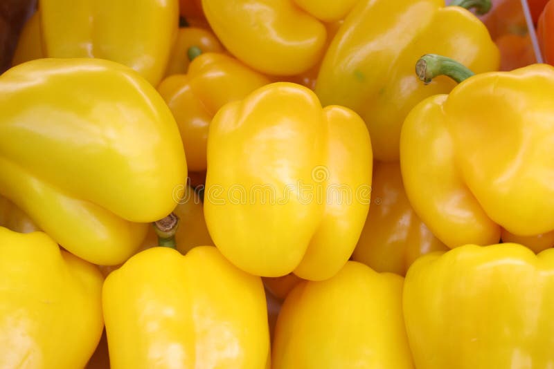 Yellow Capsicum royalty free stock image