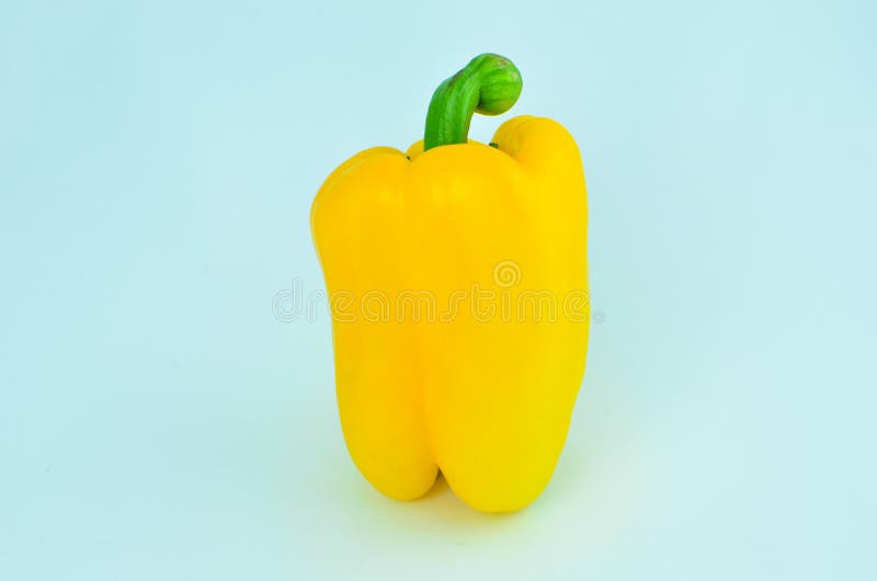 Yellow capsicum pepper stock image