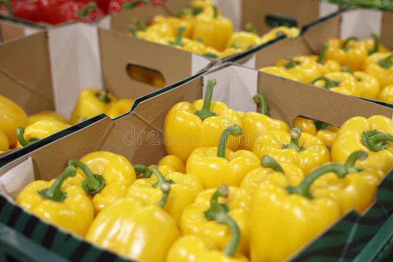 Yellow capsicum in a supermarket stock photography