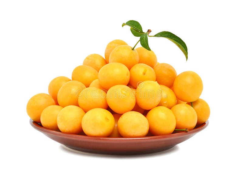 yellow cherry plum