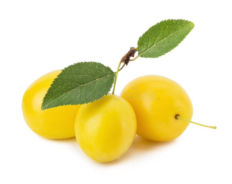 yellow cherry plum