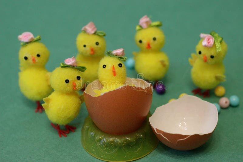 Yellow chicken hatched from an egg, toys on a green background royalty free stock photography