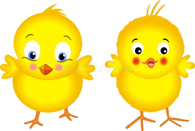 Yellow Chicks Stock Vector Illustration Of Vector Beak 27571298 