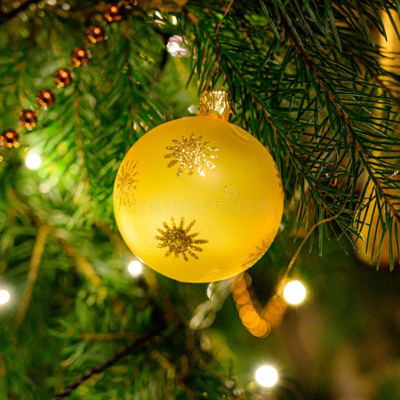 Yellow Christmas Ball in Christmas Tree Stock Photo Image of