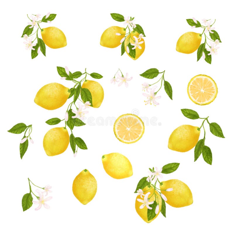 Yellow Citrus Fruit Frame. Lemon, Leaves and Flowers. Tropical Clip Art ...