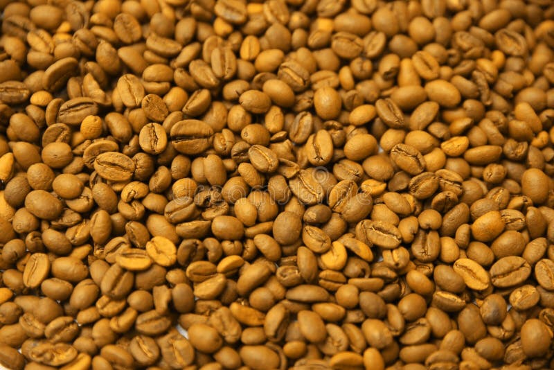 Yellow Coffee Beans Background. Stock Image Image of background, flat 67950827