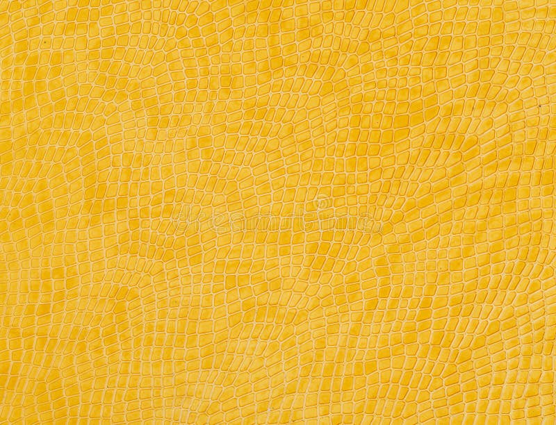Yellow colorful snake natural pattern on a background. patterns stock images