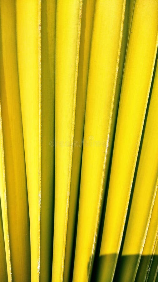 294 Hd Wallpapers Stock Photos - Free & Royalty-Free Stock Photos from Dreamstime 294 Hd Wallpapers Stock Photos - Free & Royalty-Free Stock Photos from Dreamstime