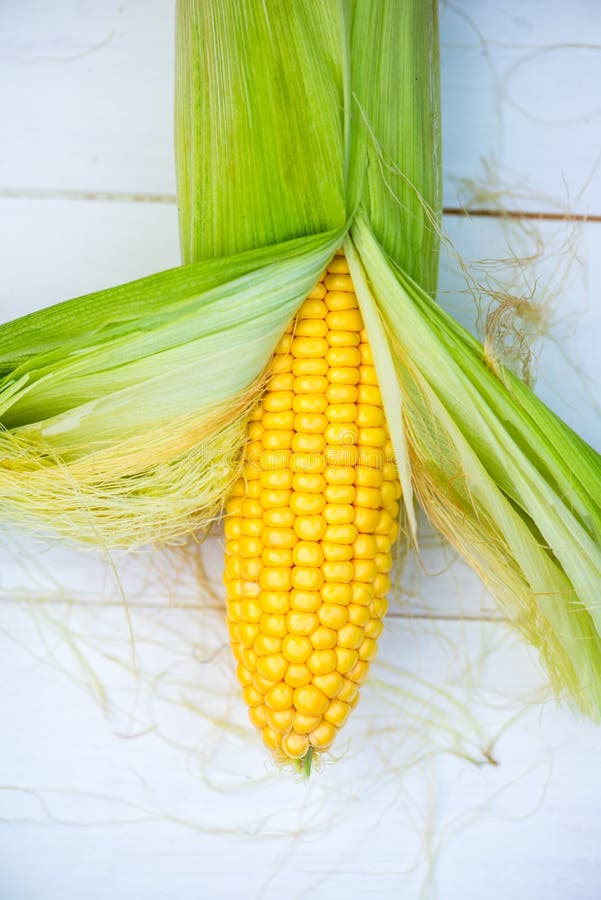 Yellow Corn Cob Closeup on White Background, Top View Stock Photo