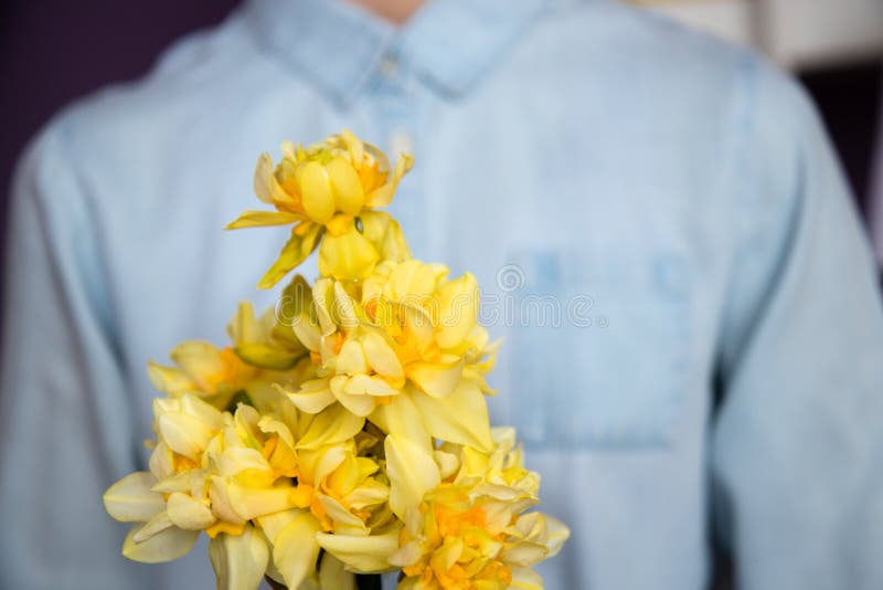 A bouquet of daffodils and the person in blue jean shirt. stock photos A bouquet of daffodils and the person in blue jean shirt. stock photos