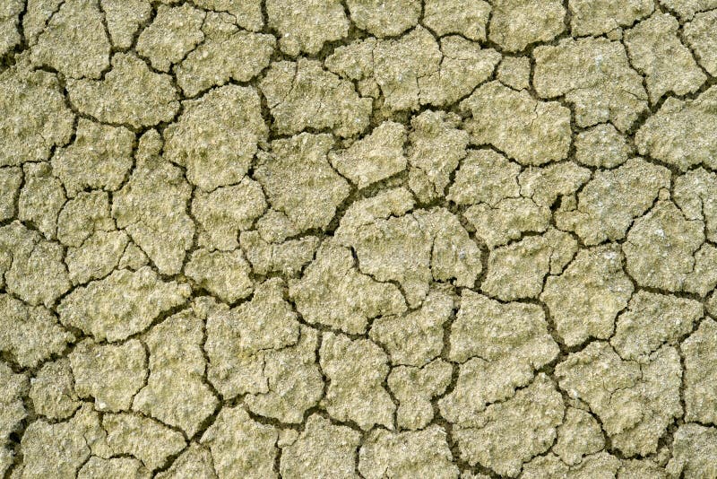 Yellow desert soil surface