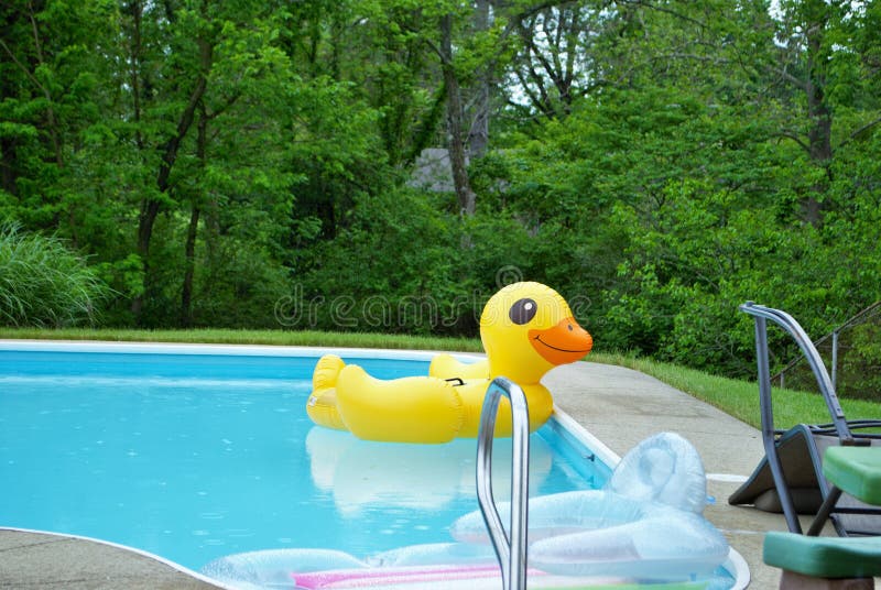 Yellow duck inflatable floating in a backyard swimming pool stock images