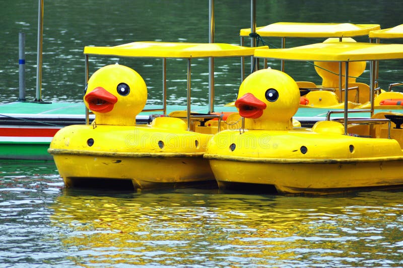 Yellow Ducks In Black Bamboo Park In Beijing Editorial 