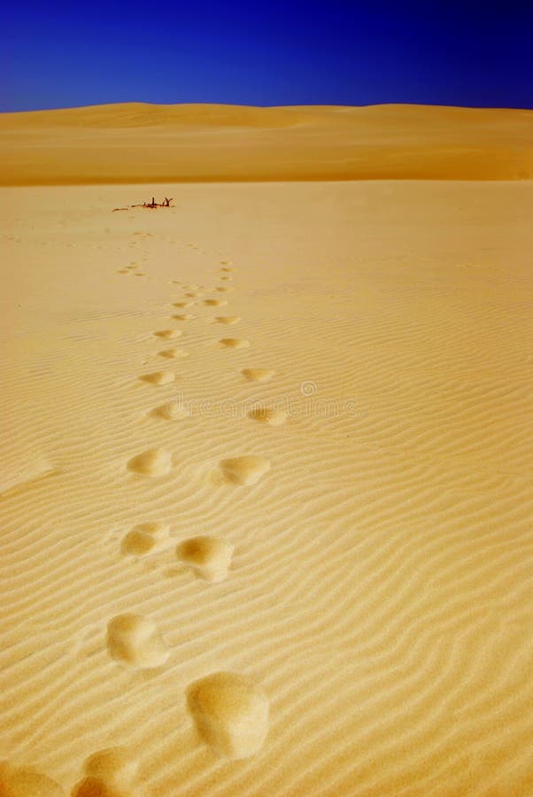 Yellow dune and footprints