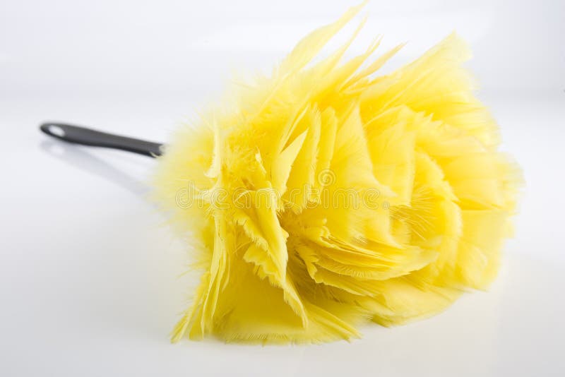 241,300+ Yellow Feathers Stock Photos, Pictures & Royalty-Free