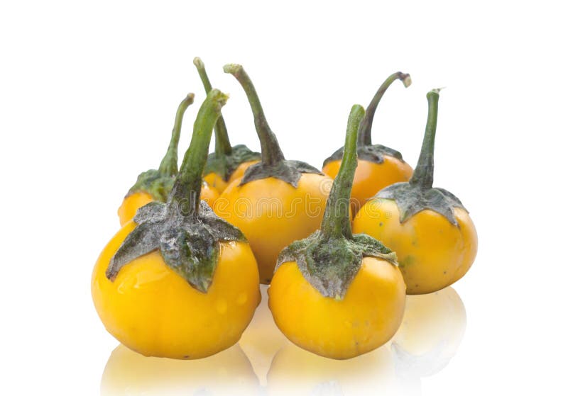 Yellow eggplant stock image. Image of asian, vegetarian 28480955
