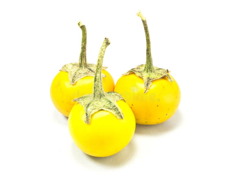 Yellow eggplant group stock image. Image of food, nutrition 15745063