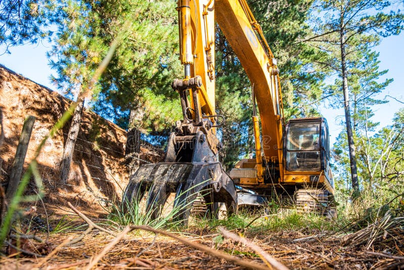 Yellow excavator in the grass under trees. royalty free stock photo