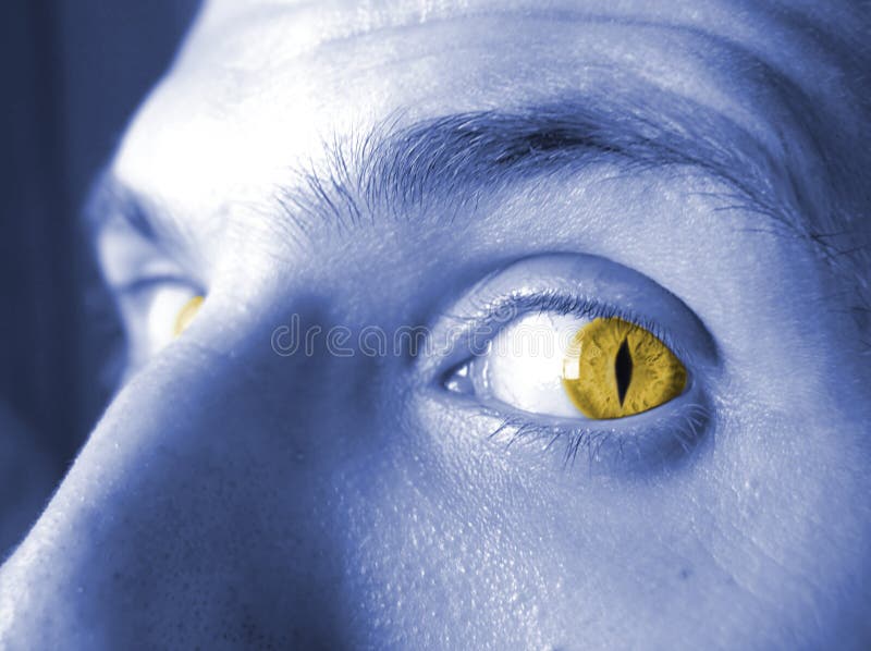yellow eyes yellow eyes