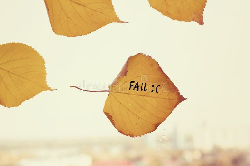 fallen leaf falls fallen leaf falls