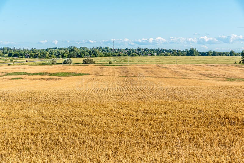 Yellow Farm Vehicle Road Sign, on a White Background Stock Image