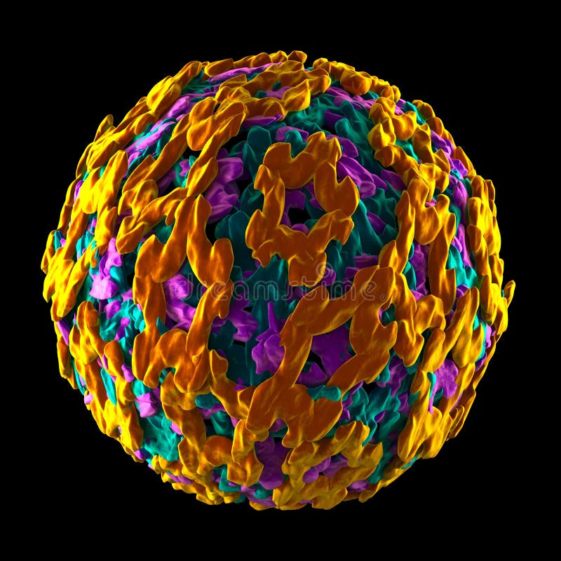 Yellow Fever Virus - Isolated on Black Stock Illustration