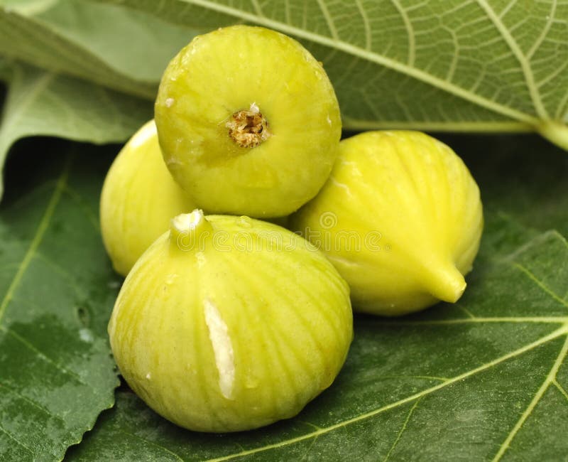 Yellow figs stock photo. Image of leaf, appetizing, nutritious 15410880
