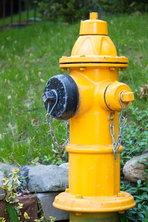 Yellow Fire Hydrant in Toronto Stock Photo - Image of water, safety