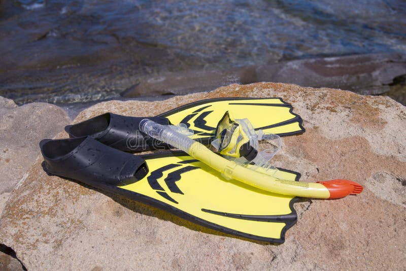 850 Yellow Flippers Diving Stock Photos Free & RoyaltyFree Stock