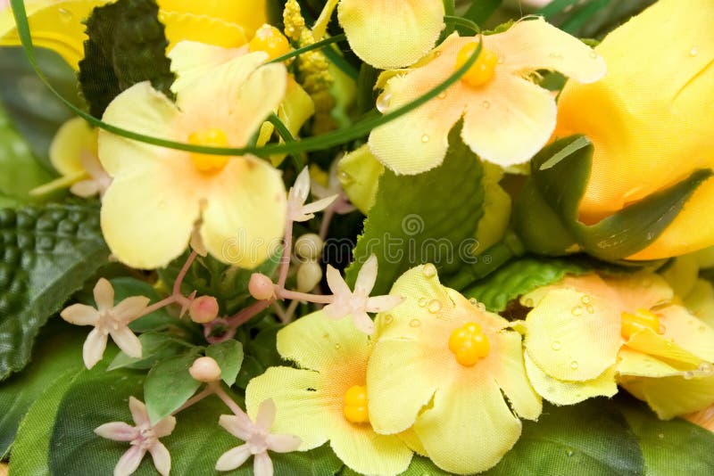 Yellow flower background