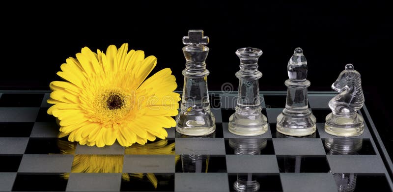 Yellow flower on a black and white glass chess board with king, queen, bishop and knight