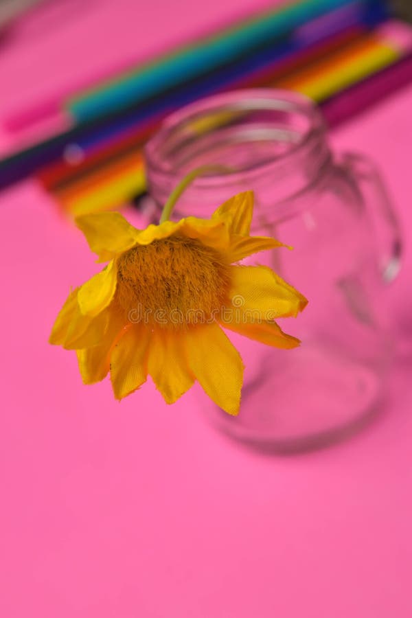 Yellow Flower on the Glass Cup Stock Photo Image of bright, flower 241356124