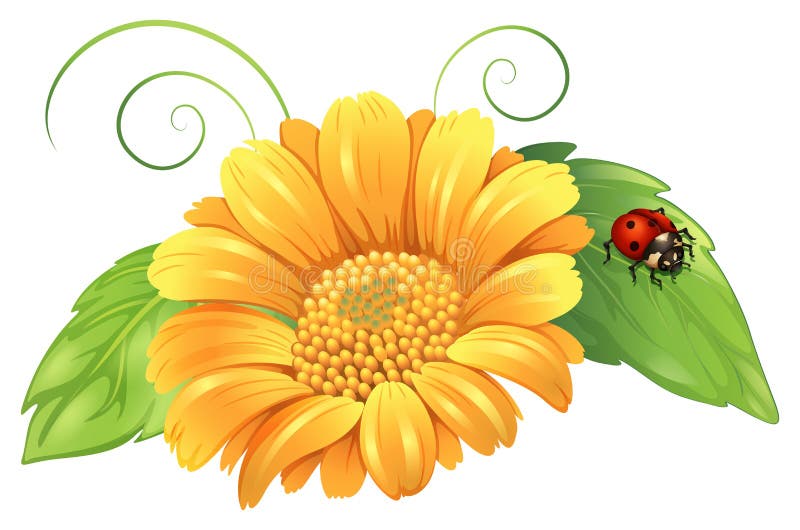 A yellow flower with leaves and a bug
