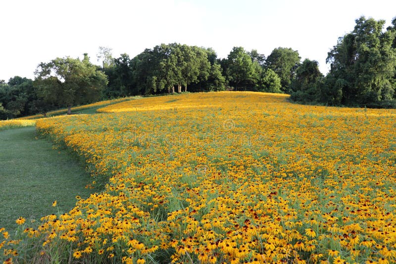 Flower Bed by the Road at the Crossroads. Mulched by a Duck. There are Interlocking Paving