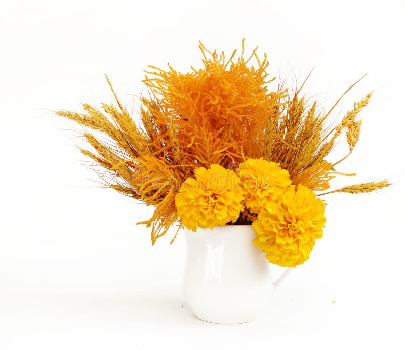 Yellow Flower in a White Vase Stock Image Image of home, nature