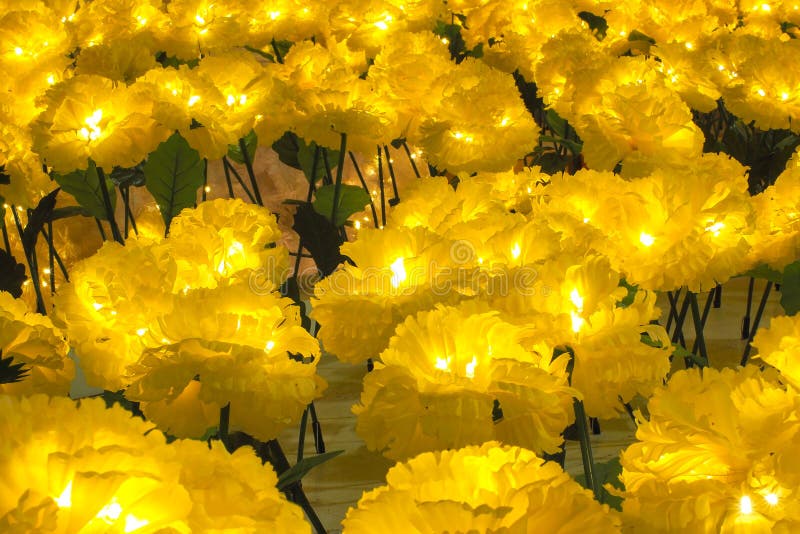 The Yellow Flowers are Decked in Christmas Lights Stock Photo Image
