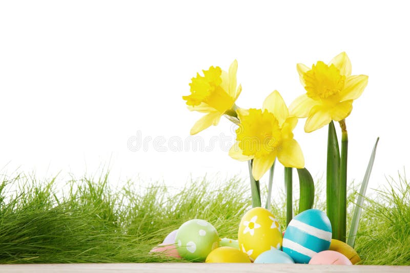Yellow Flowers and Easter Eggs Stock Photo Image of meadow, daffodil