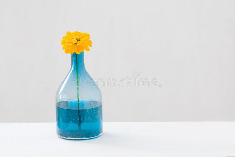Yellow Gerbera Daisy Stylish Glass Vase Stock Photos Free & Royalty
