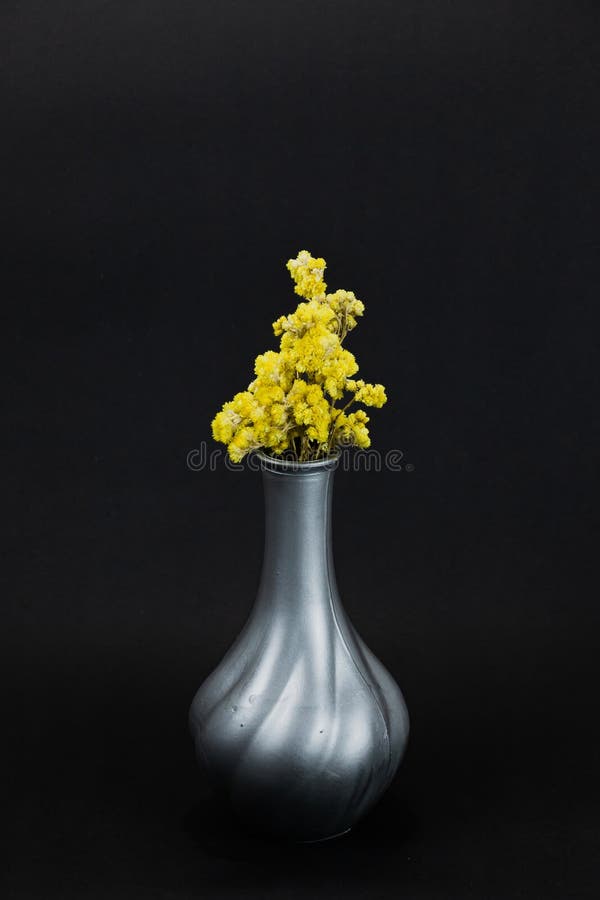 Yellow Flowers in Gray Vase on Dark Background Stock Image Image of