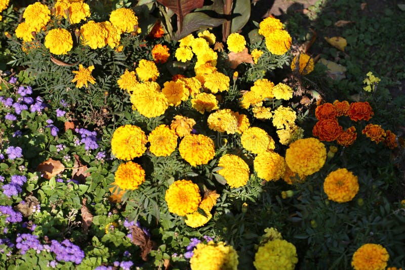 Anna Vlasova Annavlasova Photos