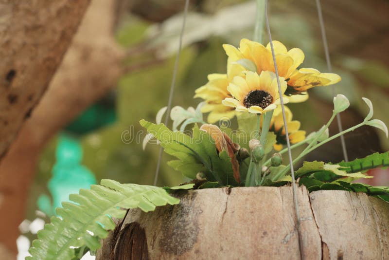 Yellow Flowers in Pots in the Garden Stock Image Image of bloom