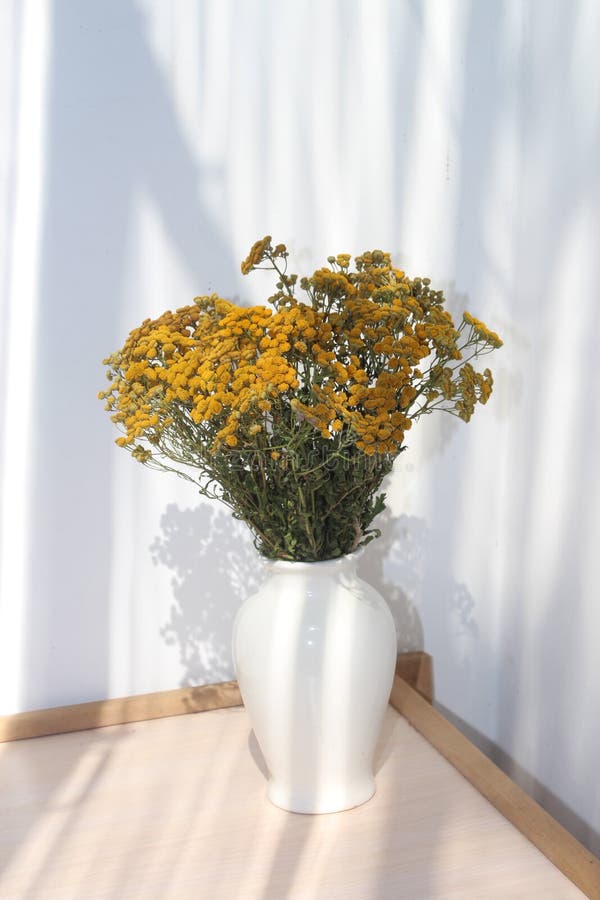 Yellow flowers in a vase stock image. Image of colorful 146473151
